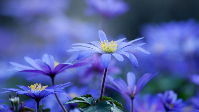 一张美味的图片 &middot; #3513