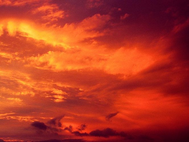 一张美味的图片 &middot; #988