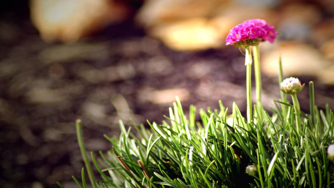 一张美味的图片 &middot; #3912