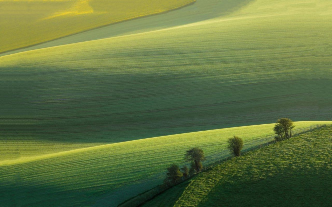 一张美味的图片 &middot; #4337