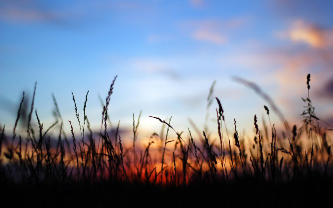 一张美味的图片 &middot; #77