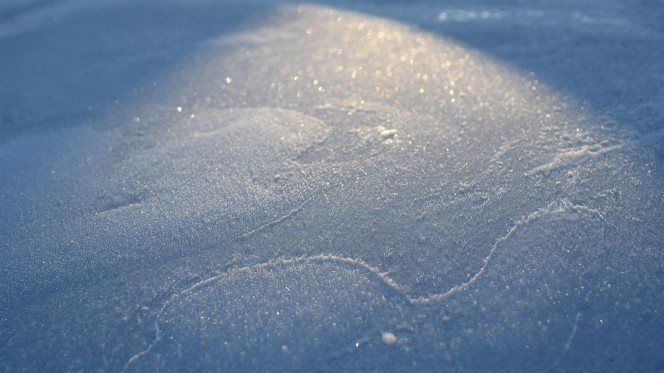 一张美味的图片 &middot; #2768