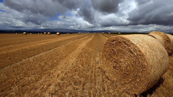 一张美味的图片 &middot; #2494