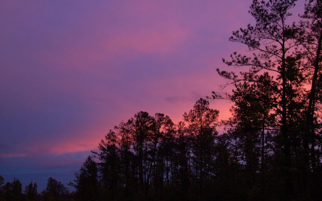 一张美味的图片 &middot; #925