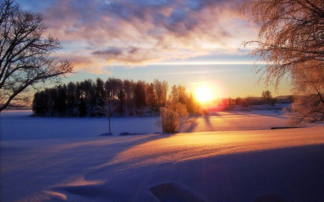 一张美味的图片 &middot; #4307