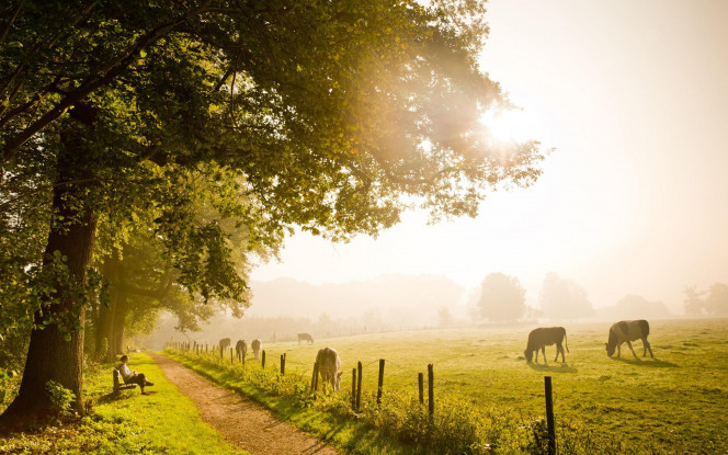 一张美味的图片 &middot; #44