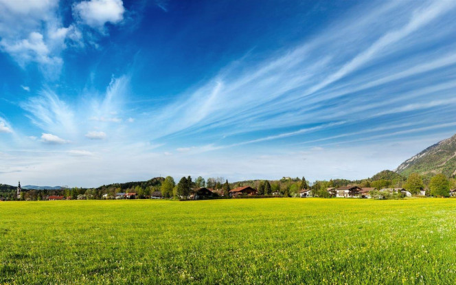 一张美味的图片 &middot; #4362