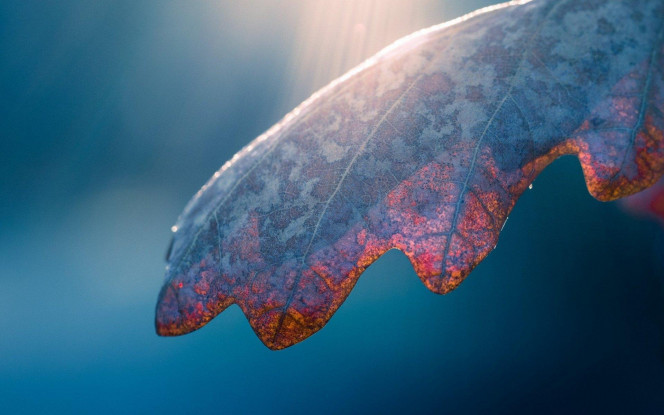 一张美味的图片 &middot; #2961