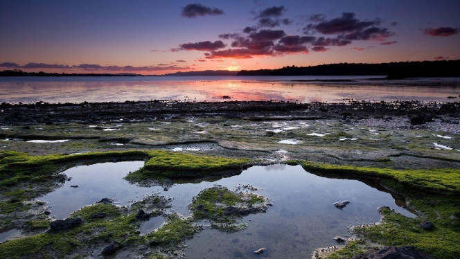 一张美味的图片 &middot; #2706