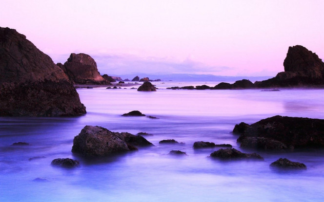 一张美味的图片 &middot; #844