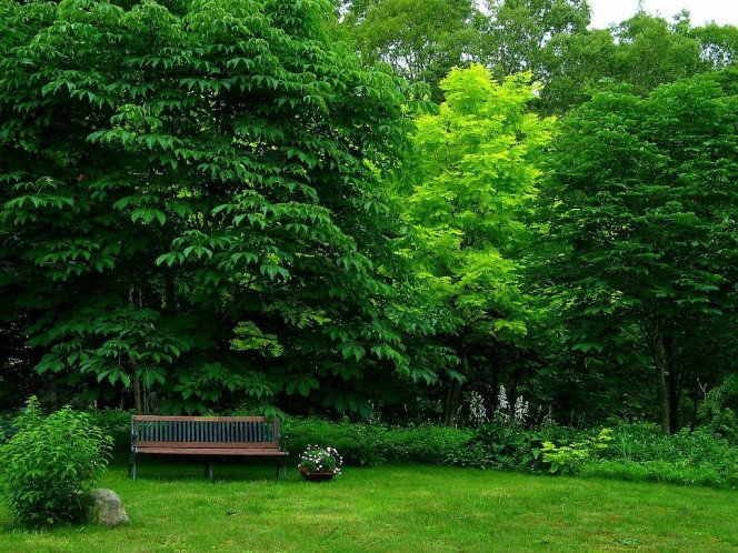 一张美味的图片 &middot; #516