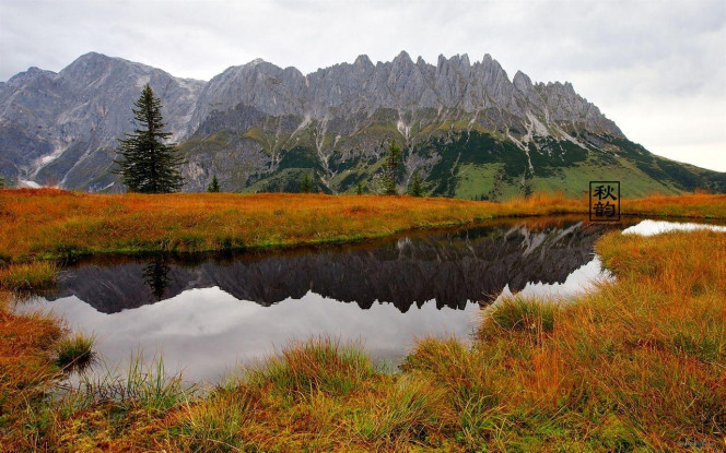 一张美味的图片 &middot; #4031