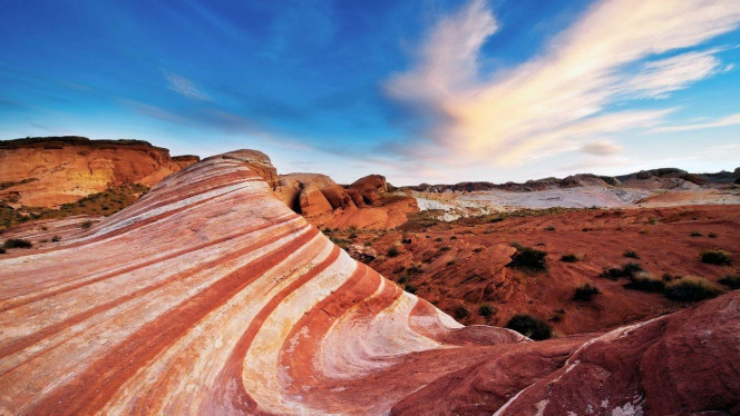 一张美味的图片 &middot; #4487