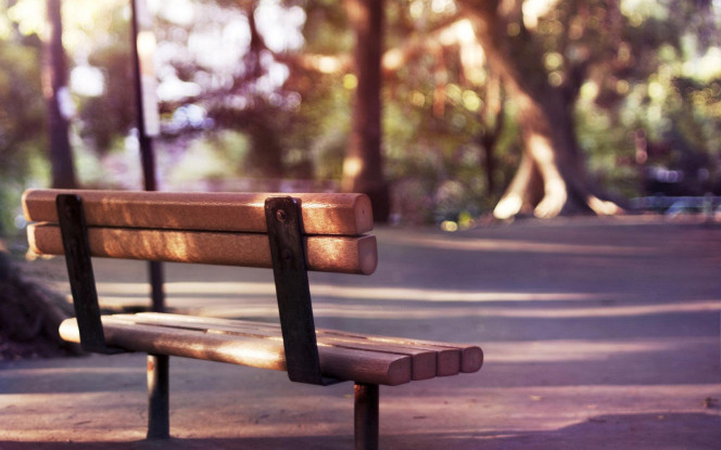 一张美味的图片 &middot; #1238