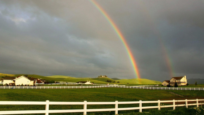 一张美味的图片 &middot; #1943