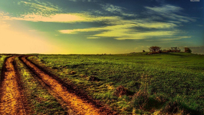 一张美味的图片 &middot; #4029