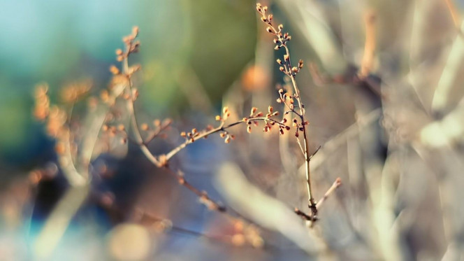 一张美味的图片 &middot; #2460