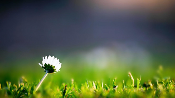 一张美味的图片 &middot; #2434