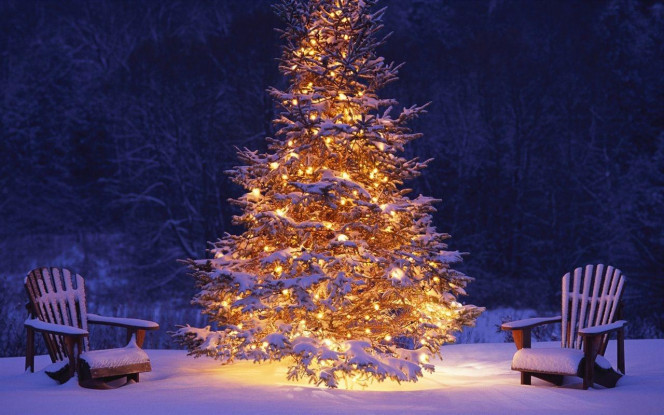 一张美味的图片 &middot; #3202