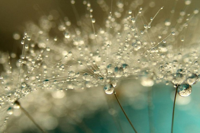 一张美味的图片 &middot; #2850