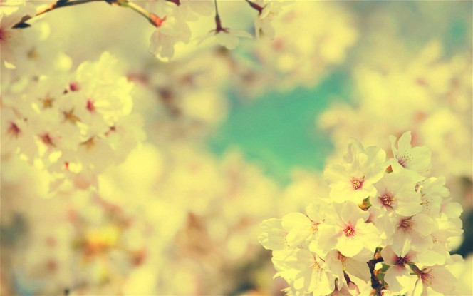 一张美味的图片 &middot; #836