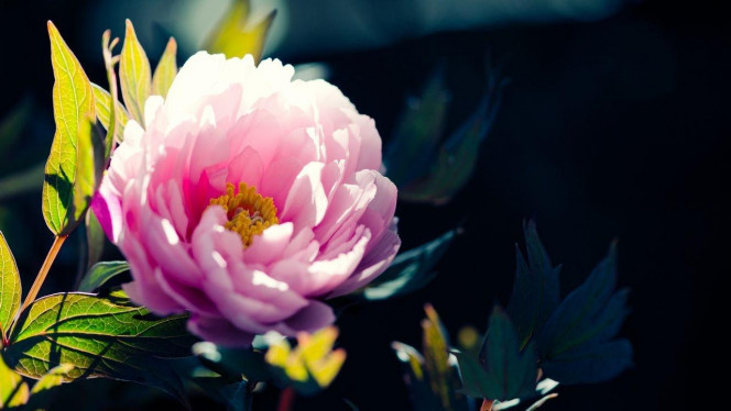 一张美味的图片 &middot; #3019