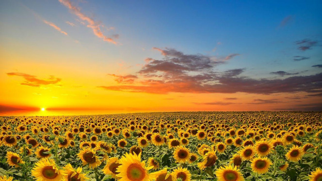 一张美味的图片 &middot; #4411