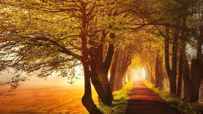 一张美味的图片 &middot; #3779