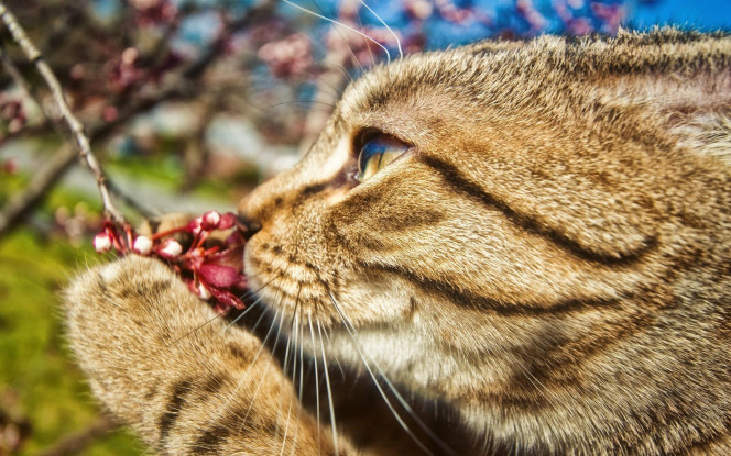 一张美味的图片 &middot; #1218