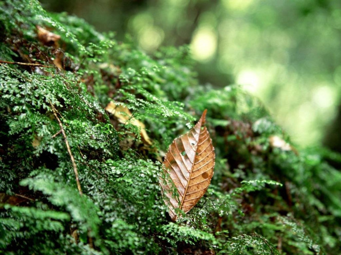 一张美味的图片 &middot; #595