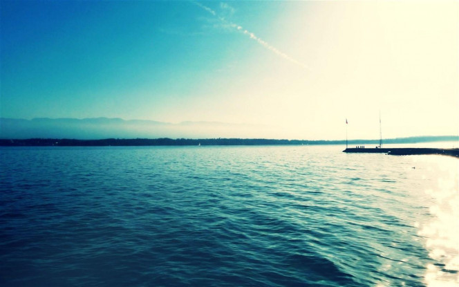 一张美味的图片 &middot; #491