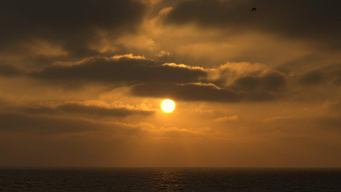 一张美味的图片 &middot; #4279