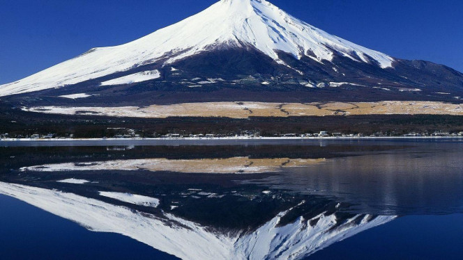 一张美味的图片 &middot; #4055