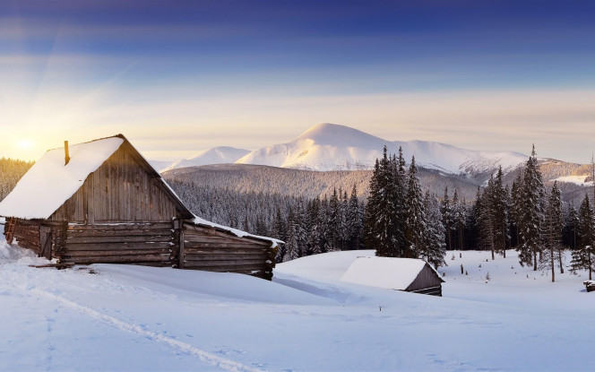 一张美味的图片 &middot; #4085