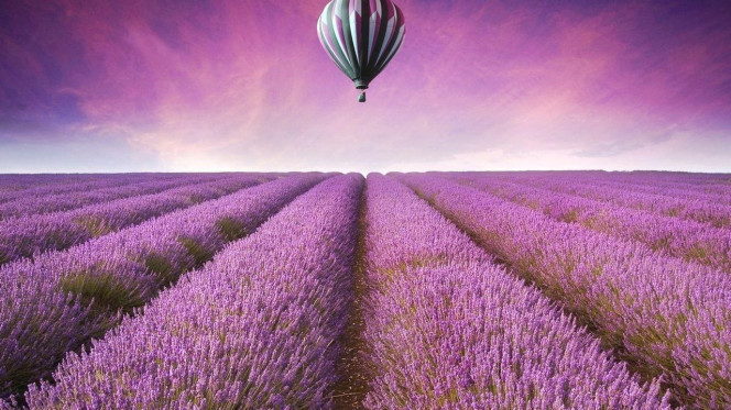 一张美味的图片 &middot; #2822