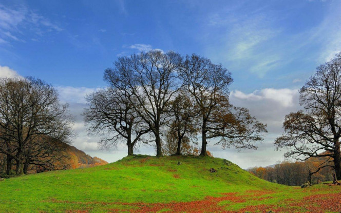 一张美味的图片 &middot; #2992