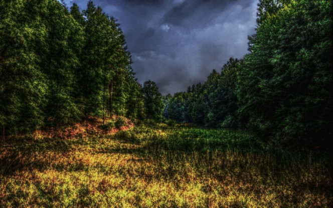 一张美味的图片 &middot; #1747