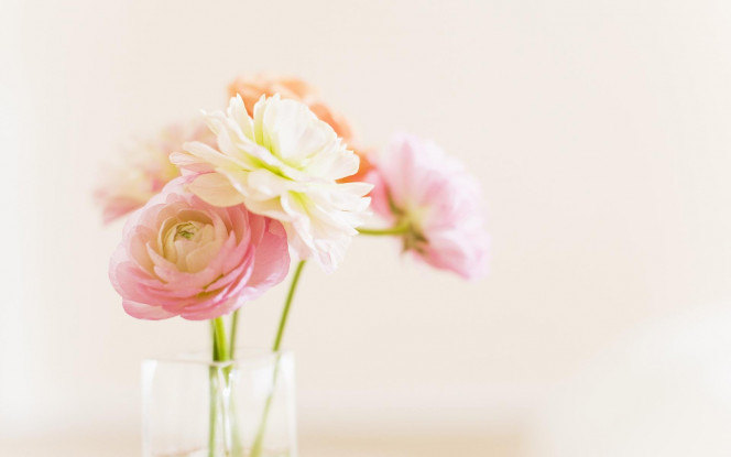 一张美味的图片 &middot; #4327