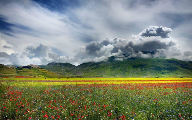 一张美味的图片 &middot; #4435