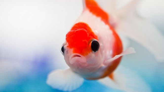 一张美味的图片 &middot; #2840