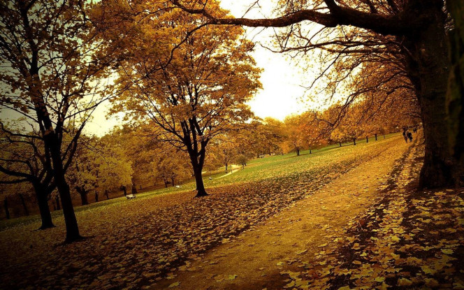 一张美味的图片 &middot; #2472