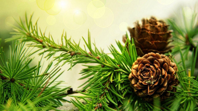 一张美味的图片 &middot; #2548