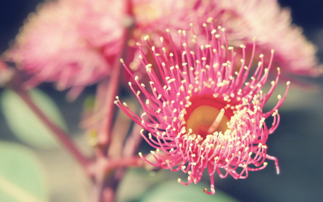 一张美味的图片 &middot; #768