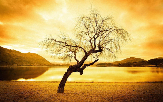 一张美味的图片 &middot; #2972