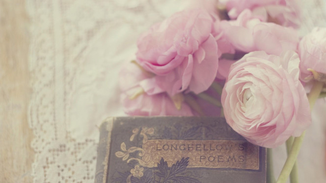 一张美味的图片 &middot; #3428