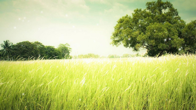 一张美味的图片 &middot; #1979