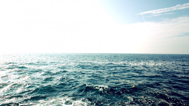 一张美味的图片 &middot; #4478