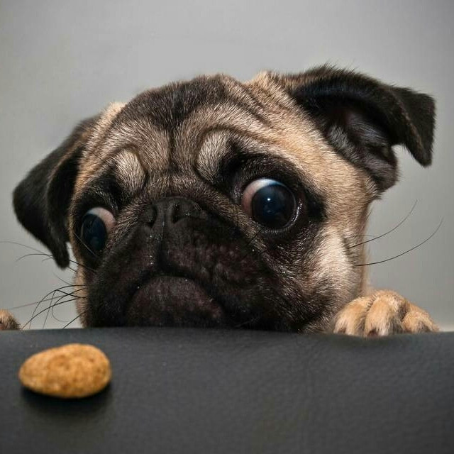 一张美味的图片 &middot; #5528