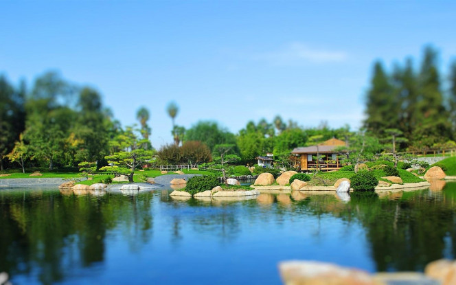 一张美味的图片 &middot; #2742