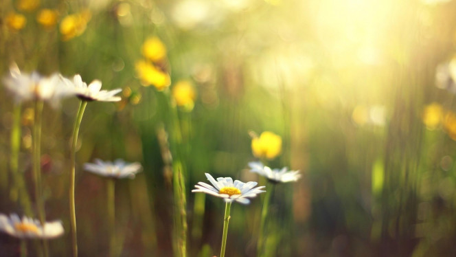 一张美味的图片 &middot; #2435